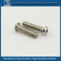 Ss304 Ss316 18-8 Stainless Steel Socket Head Screw